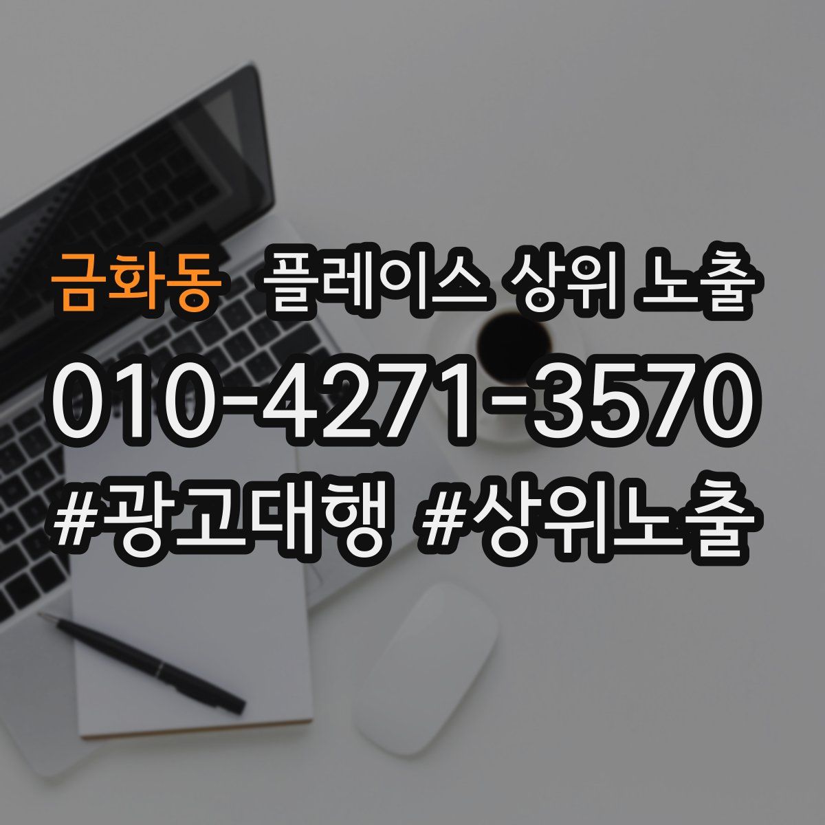 금화동 플레이스 상위 노출