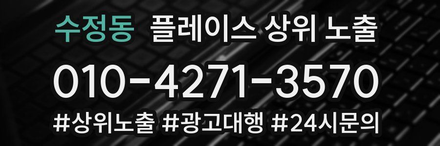 수정동 플레이스 상위 노출