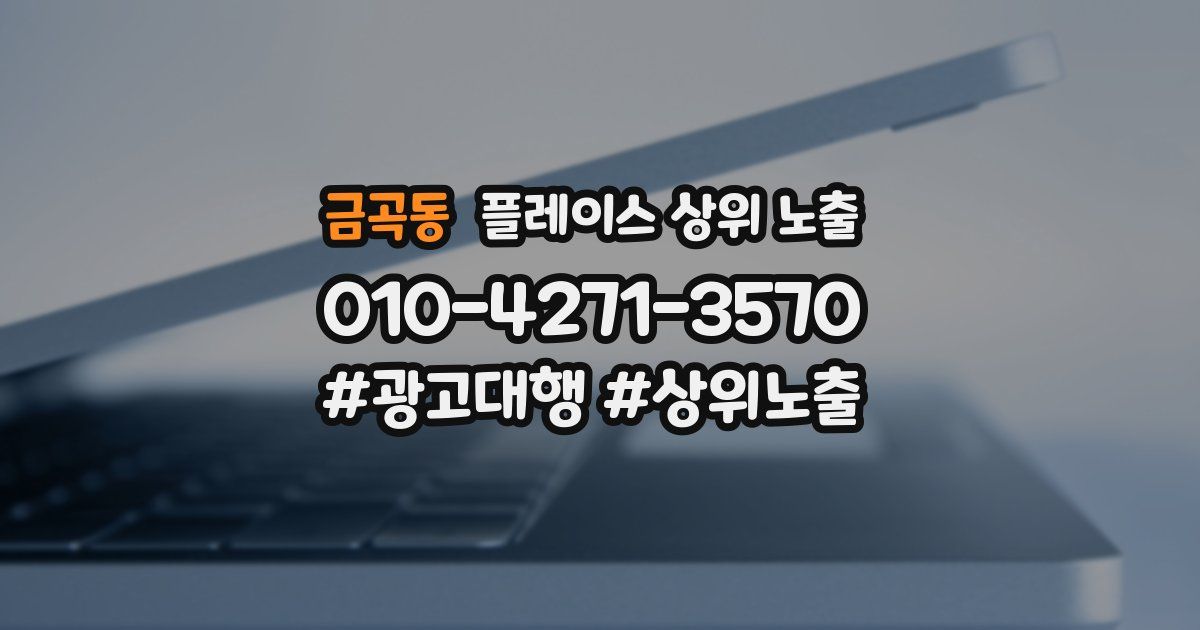금곡동 플레이스 상위 노출
