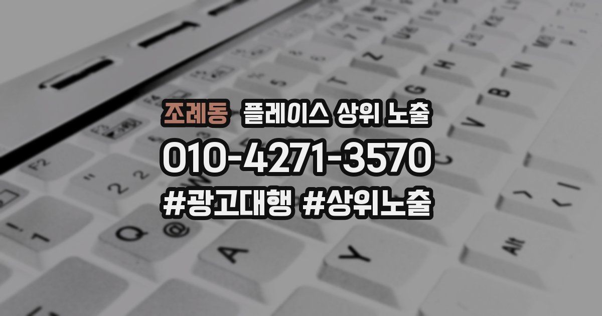 조례동 플레이스 상위 노출