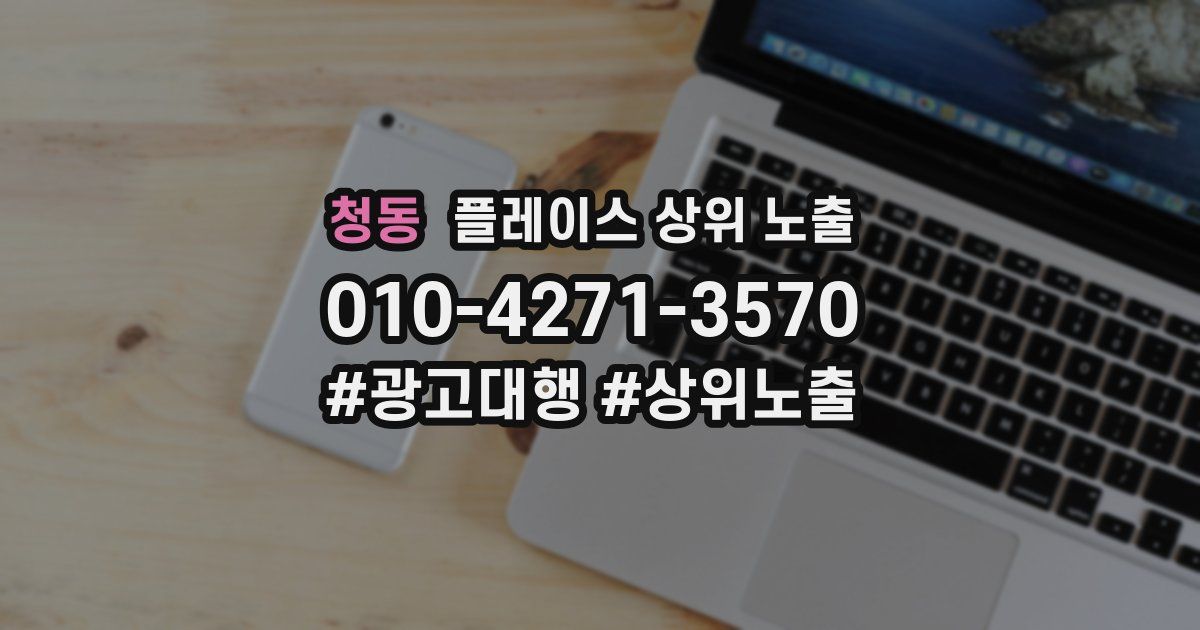 청동 플레이스 상위 노출