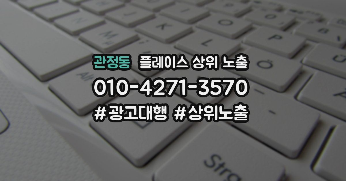 관정동 플레이스 상위 노출