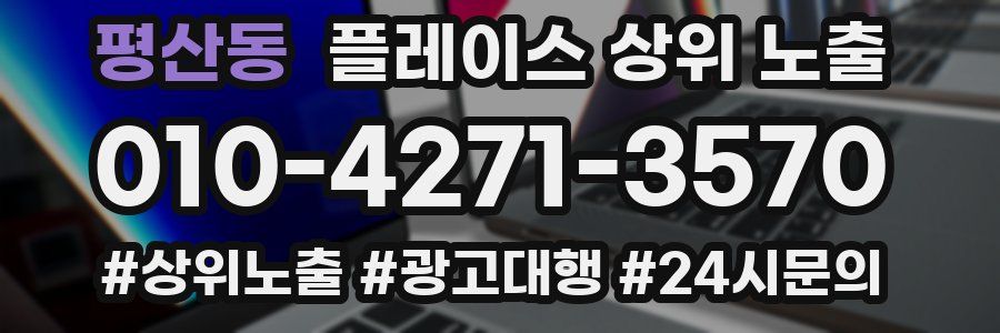평산동 플레이스 상위 노출