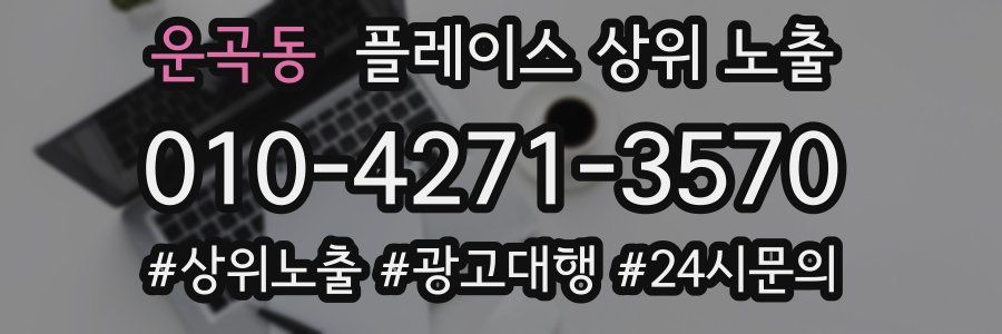운곡동 플레이스 상위 노출