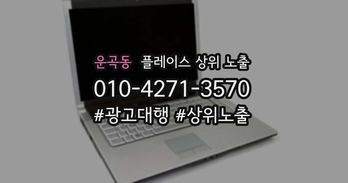 운곡동 플레이스 상위 노출