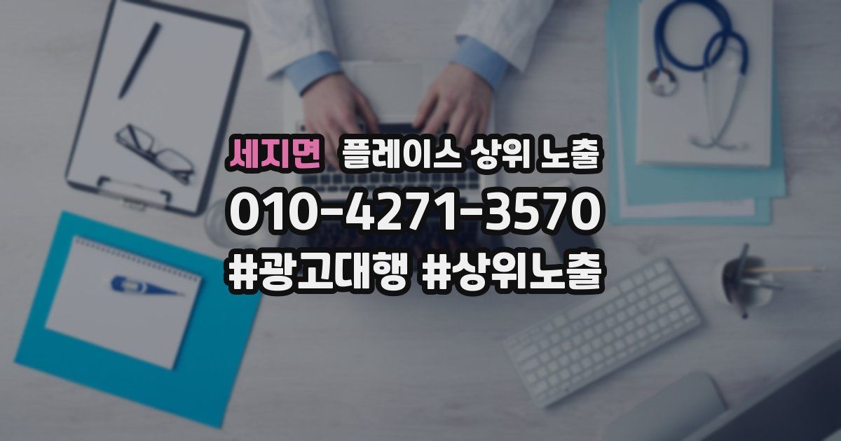 세지면 플레이스 상위 노출