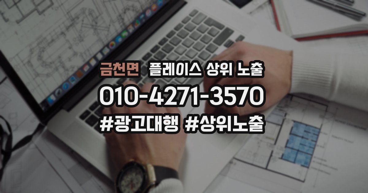 금천면 플레이스 상위 노출