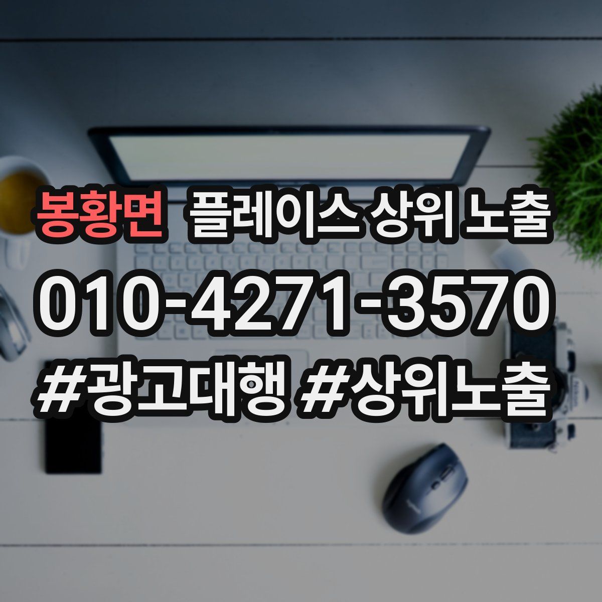 봉황면 플레이스 상위 노출