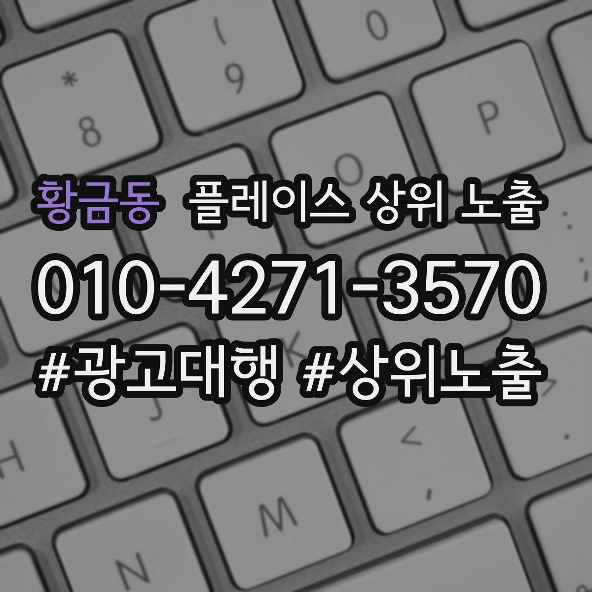 황금동 플레이스 상위 노출