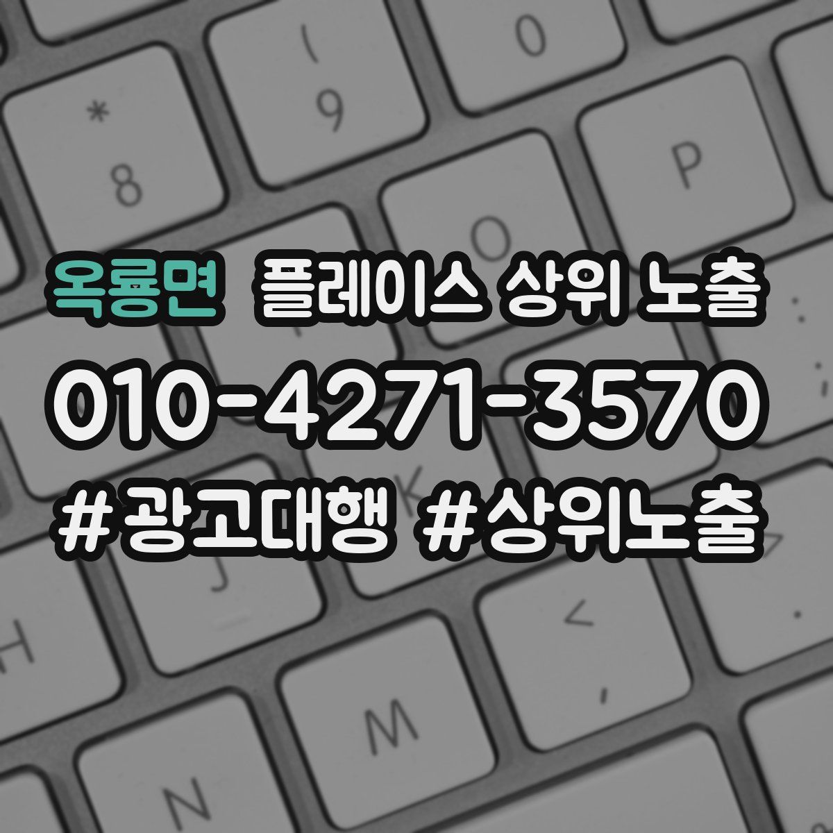 옥룡면 플레이스 상위 노출