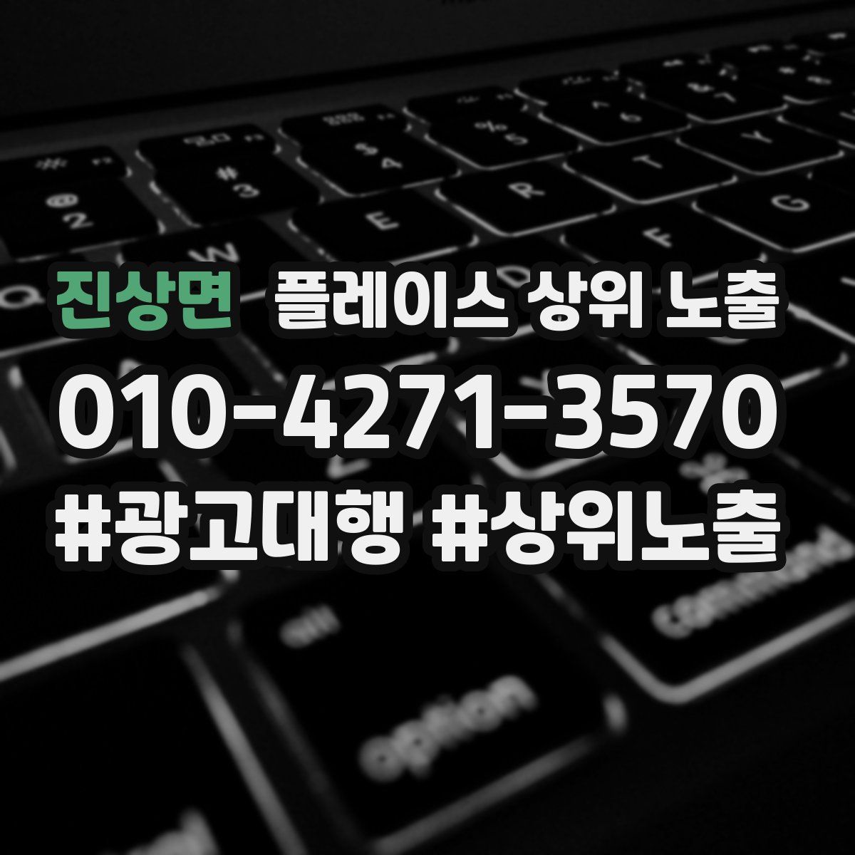 진상면 플레이스 상위 노출