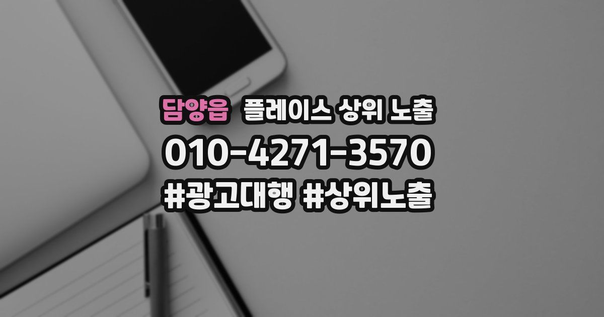 담양읍 플레이스 상위 노출