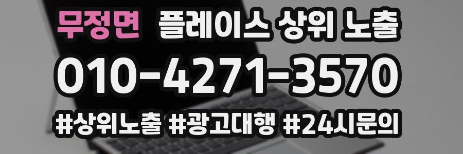 무정면 플레이스 상위 노출