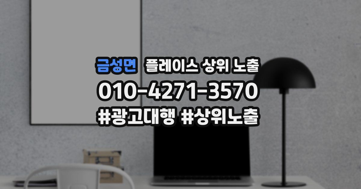 금성면 플레이스 상위 노출