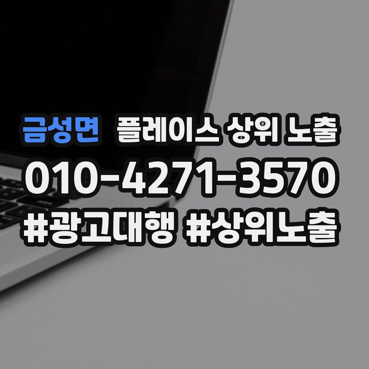금성면 플레이스 상위 노출