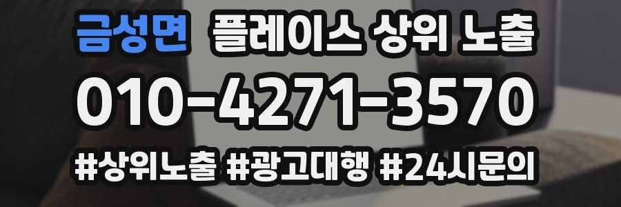 금성면 플레이스 상위 노출