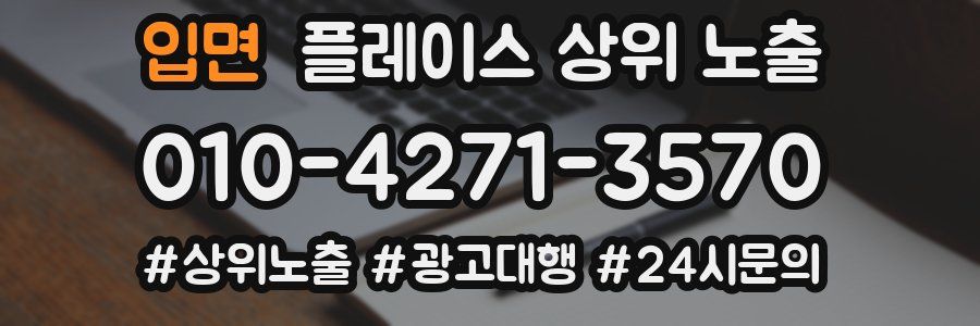 입면 플레이스 상위 노출