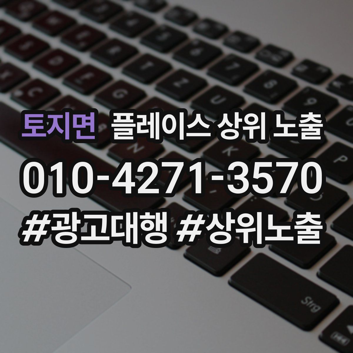 토지면 플레이스 상위 노출