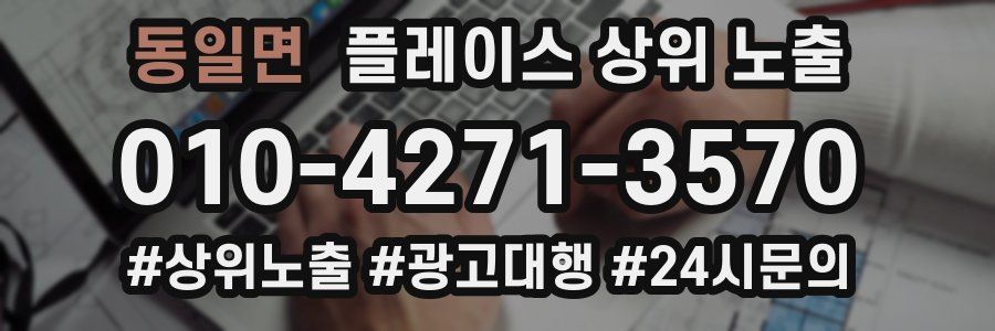 동일면 플레이스 상위 노출