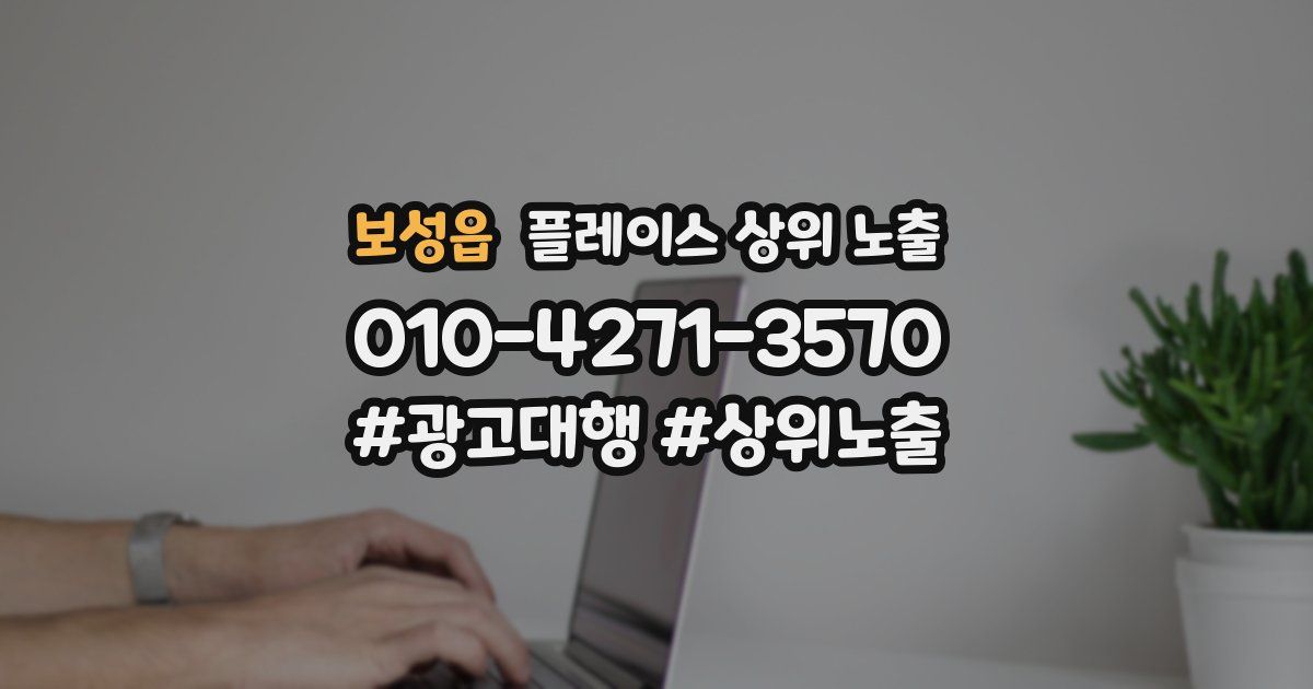 보성읍 플레이스 상위 노출