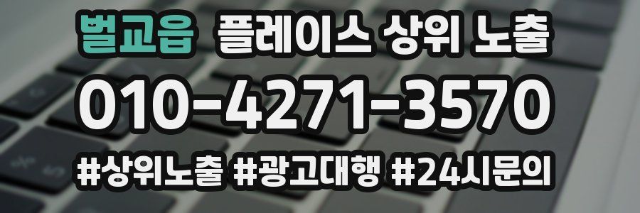 벌교읍 플레이스 상위 노출
