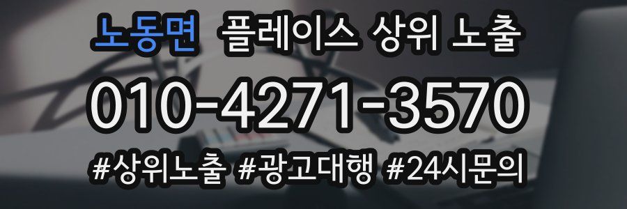 노동면 플레이스 상위 노출
