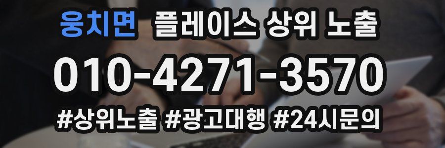 웅치면 플레이스 상위 노출