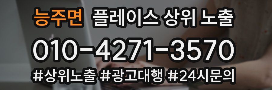 능주면 플레이스 상위 노출