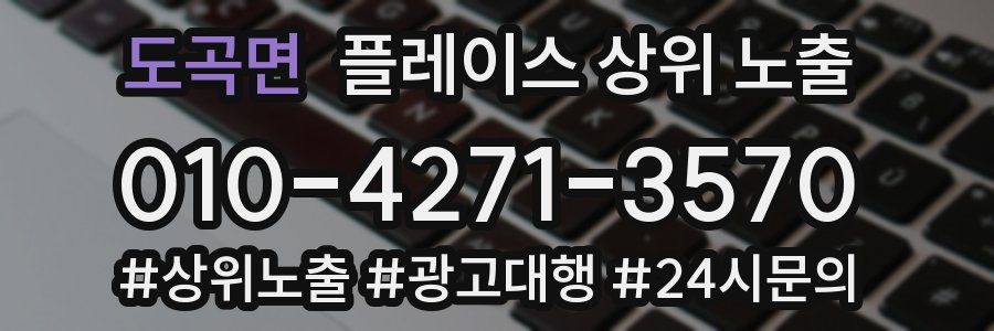 도곡면 플레이스 상위 노출