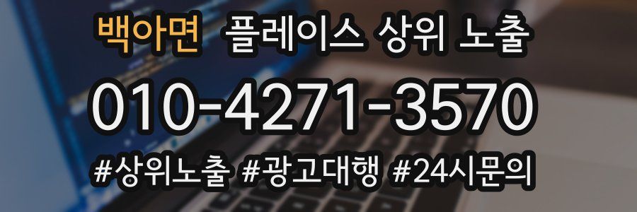 백아면 플레이스 상위 노출