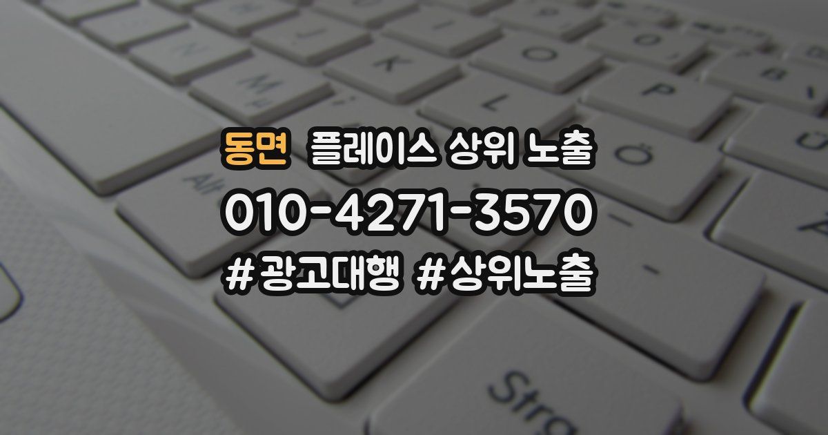 동면 플레이스 상위 노출
