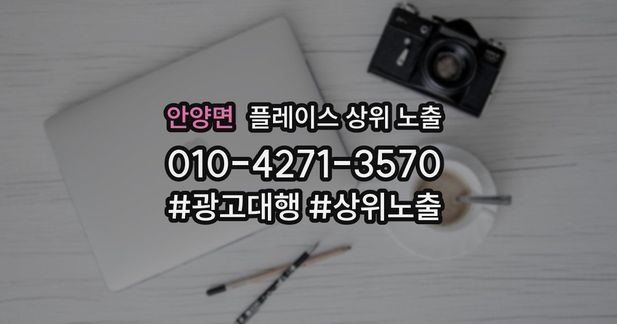 안양면 플레이스 상위 노출