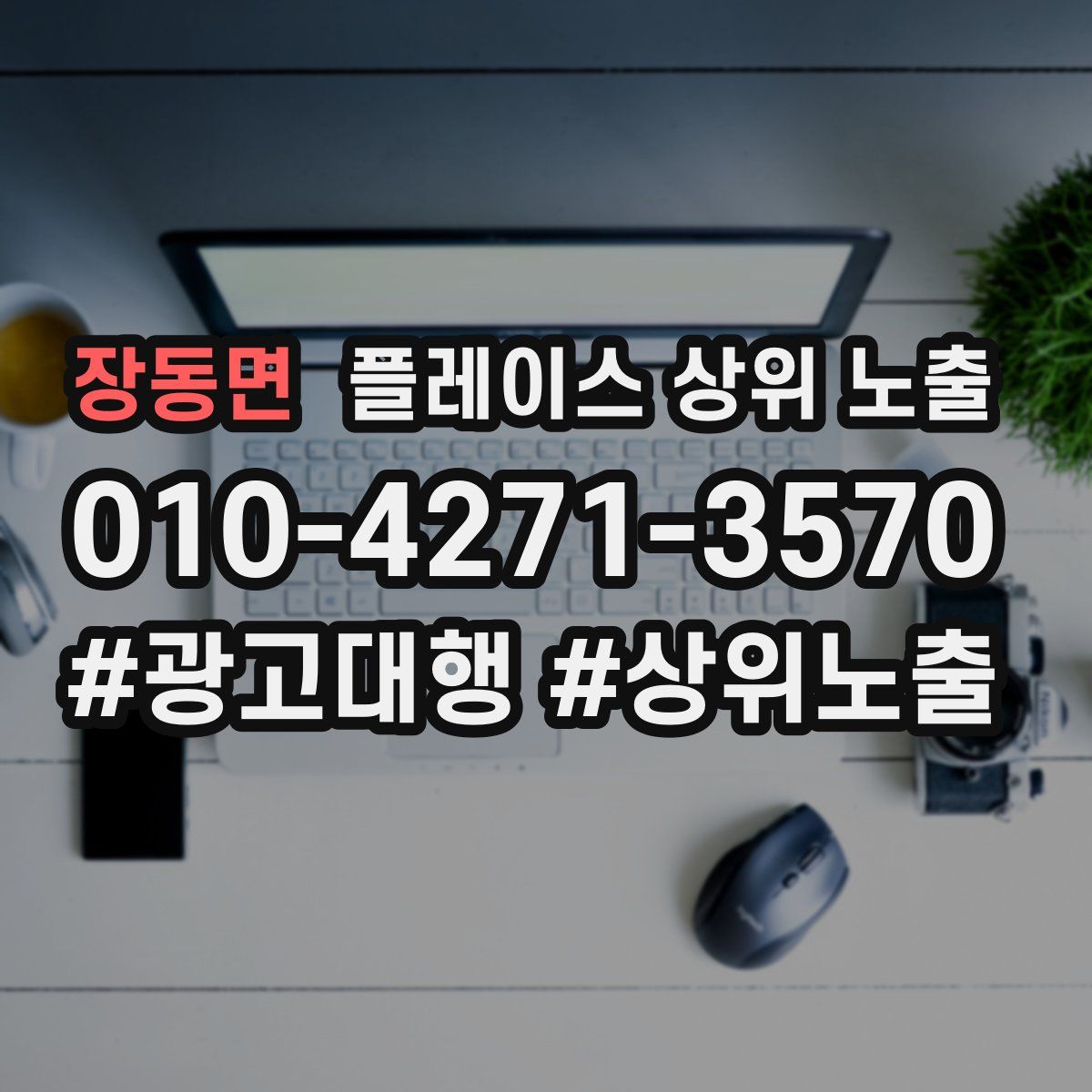 장동면 플레이스 상위 노출
