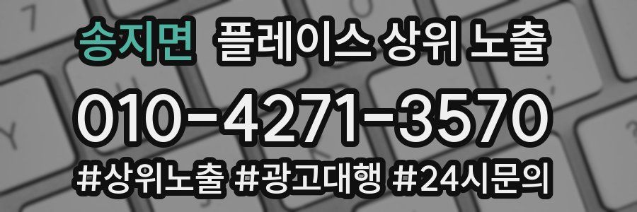 송지면 플레이스 상위 노출