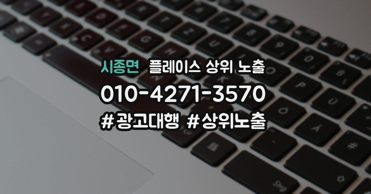 시종면 플레이스 상위 노출
