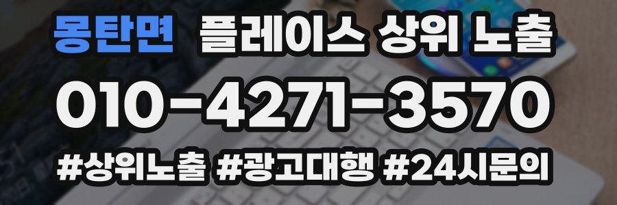 몽탄면 플레이스 상위 노출