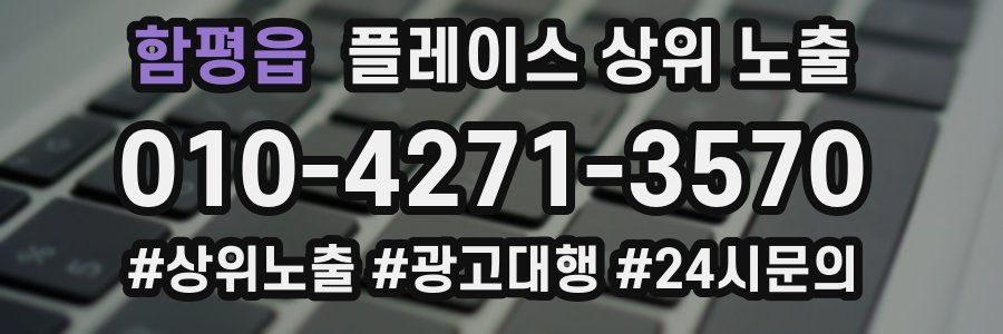 함평읍 플레이스 상위 노출