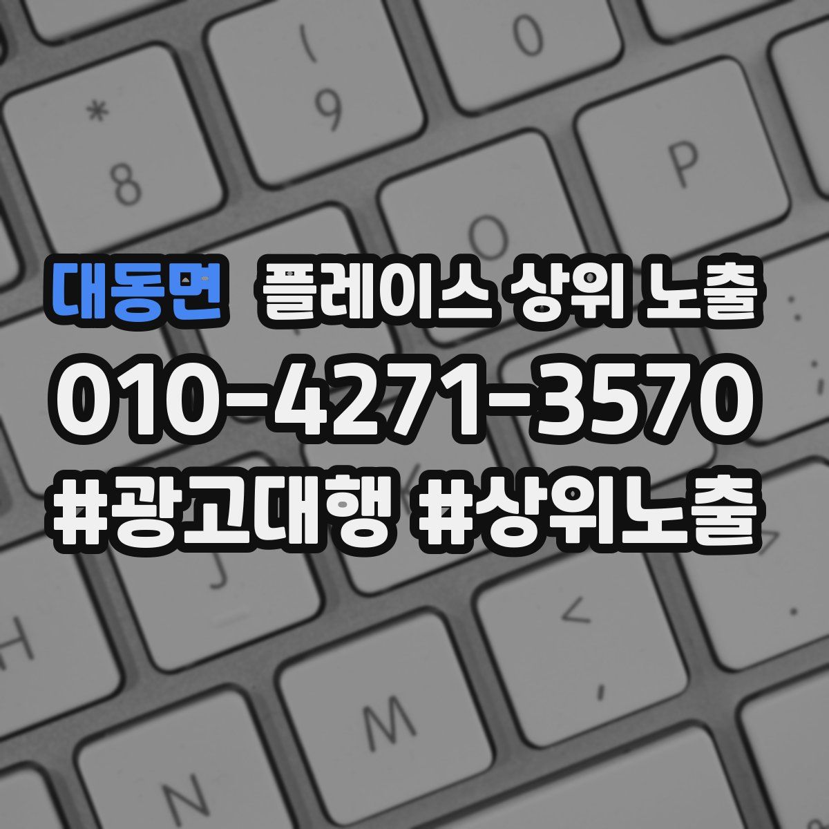 대동면 플레이스 상위 노출