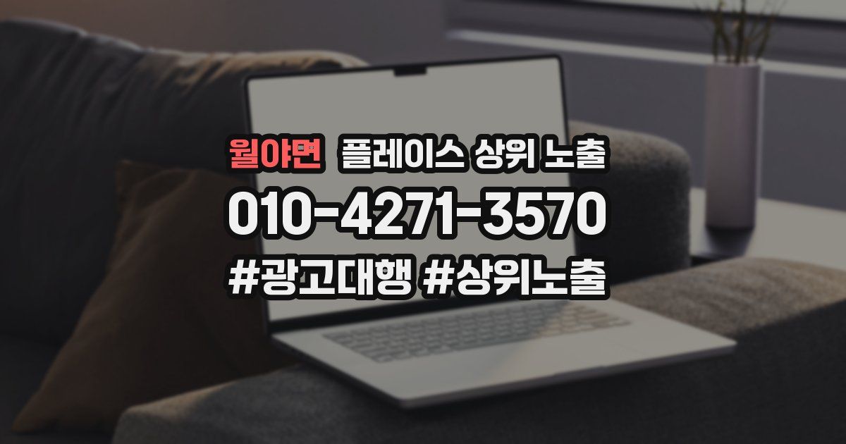 월야면 플레이스 상위 노출