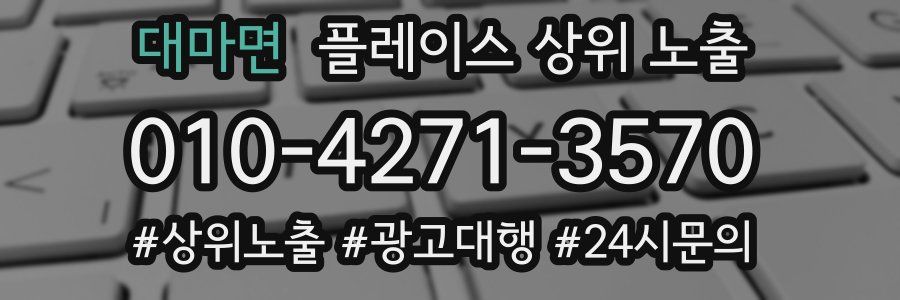 대마면 플레이스 상위 노출