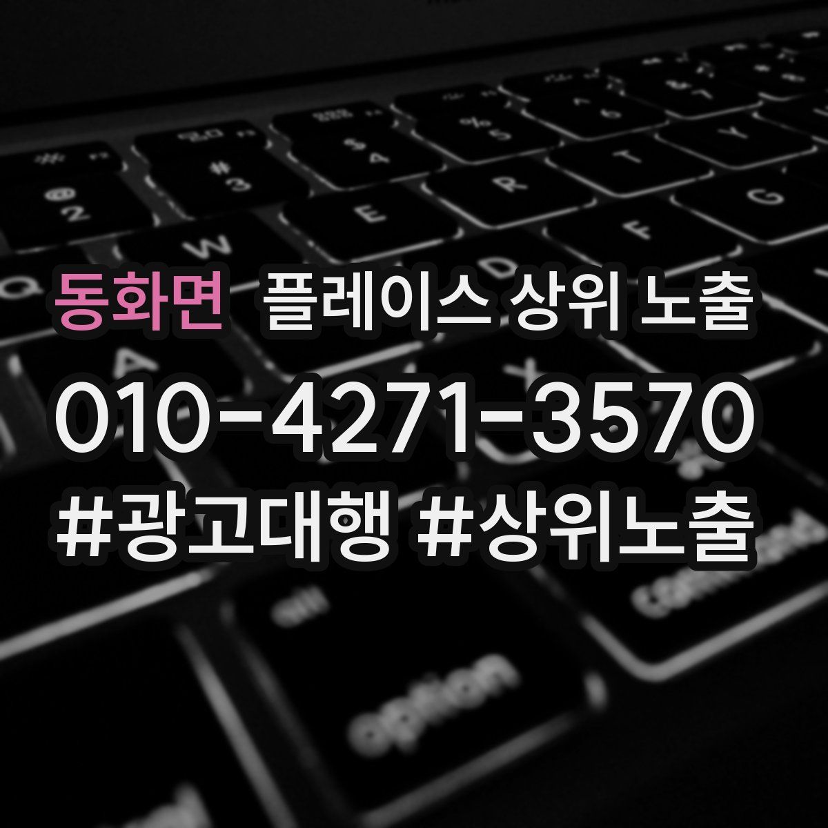동화면 플레이스 상위 노출