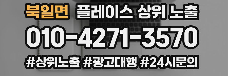 북일면 플레이스 상위 노출