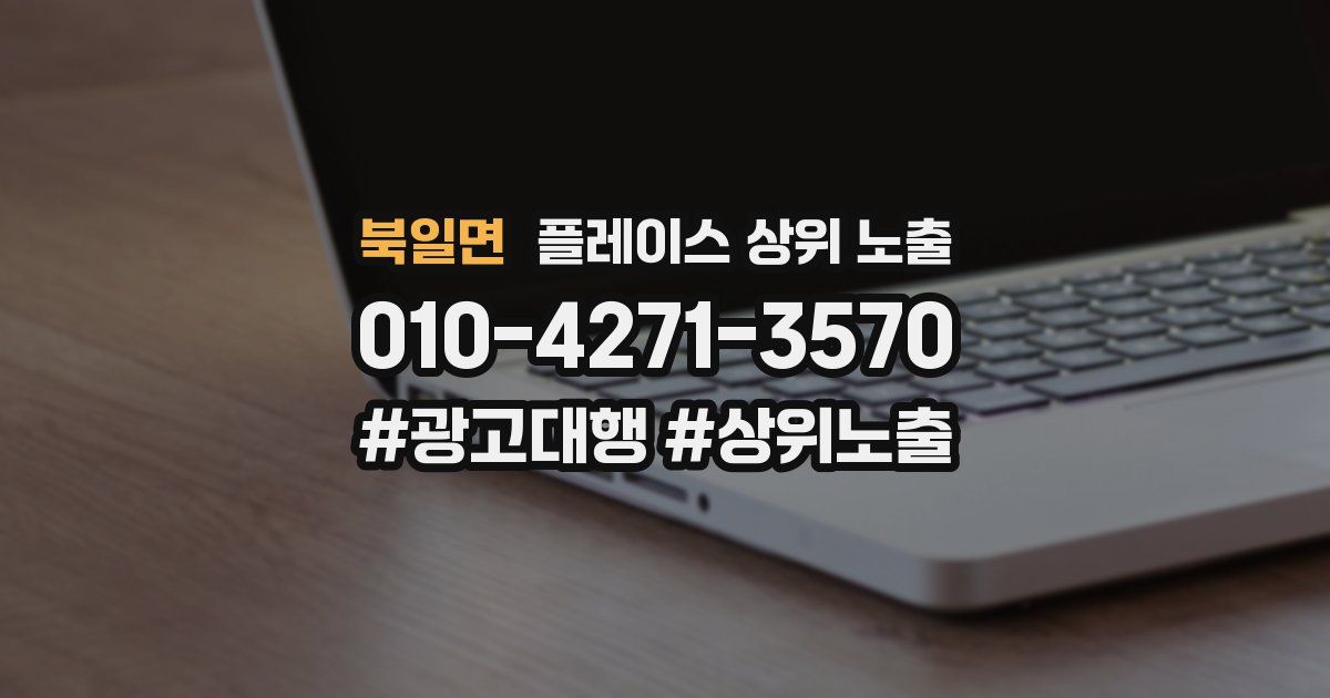 북일면 플레이스 상위 노출
