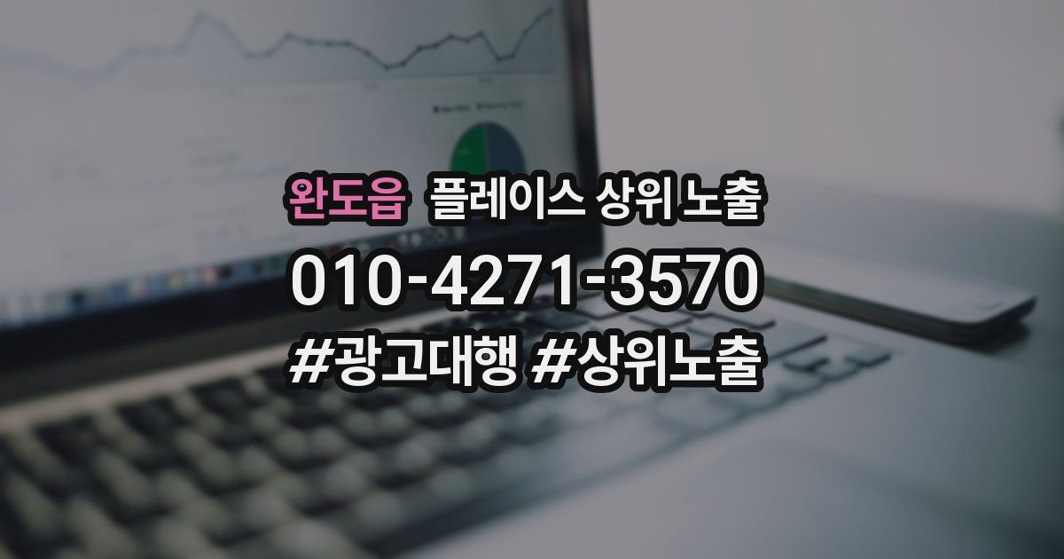 완도읍 플레이스 상위 노출