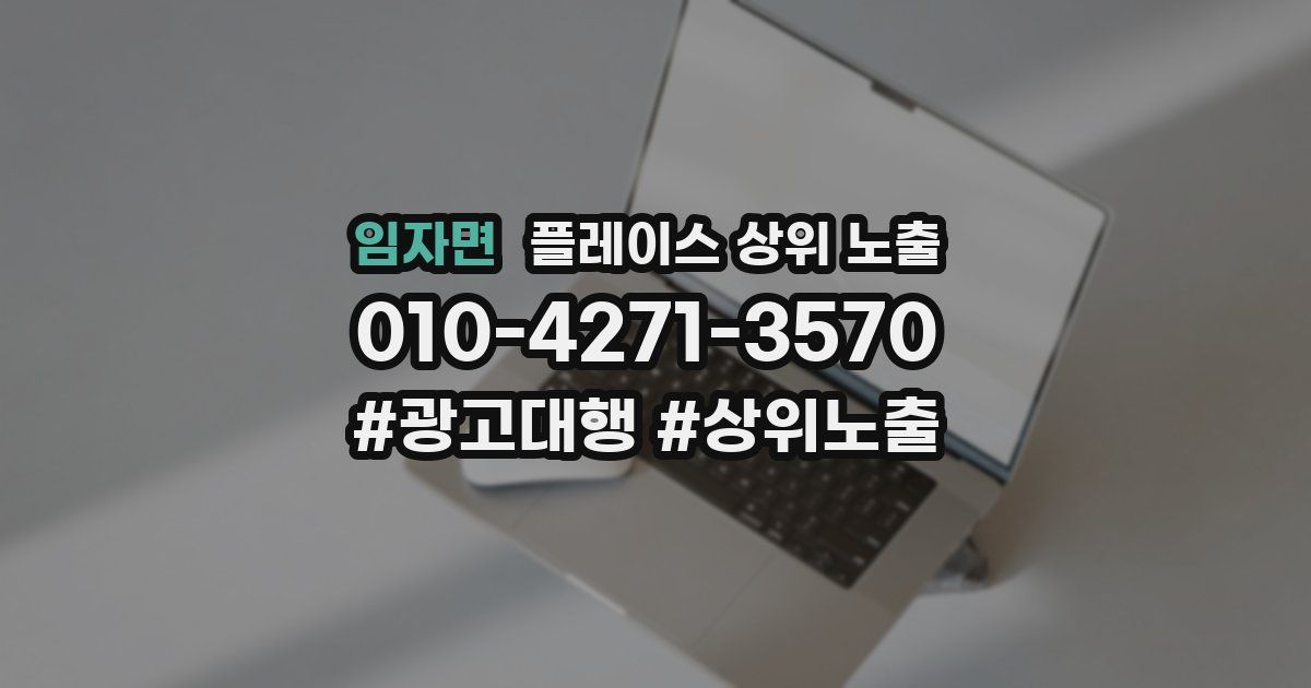 임자면 플레이스 상위 노출