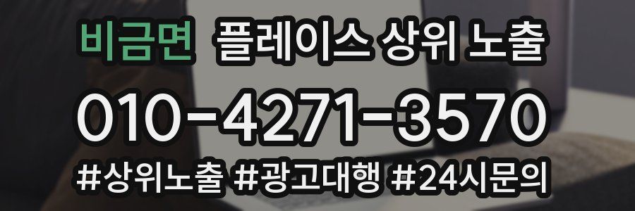 비금면 플레이스 상위 노출
