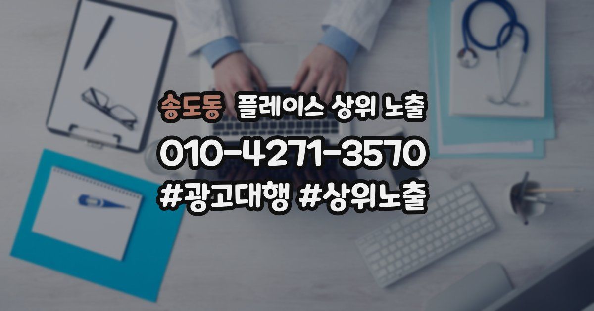 송도동 플레이스 상위 노출