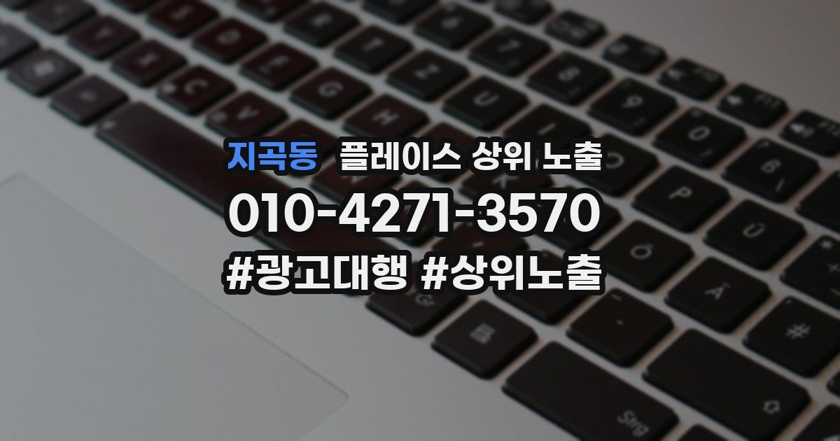 지곡동 플레이스 상위 노출