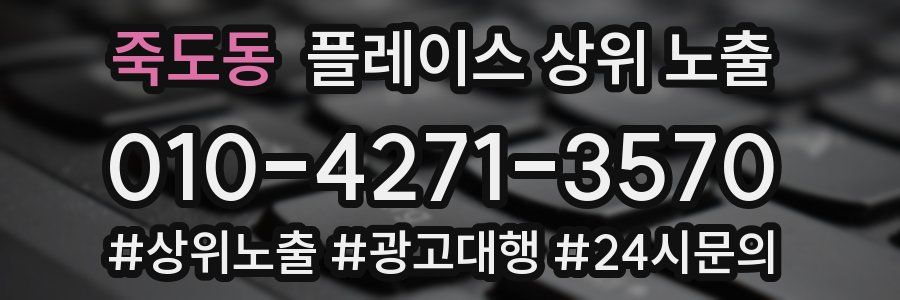 죽도동 플레이스 상위 노출