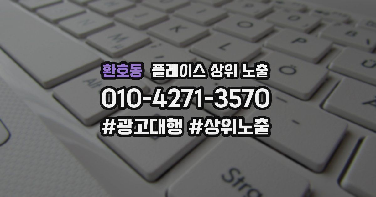 환호동 플레이스 상위 노출